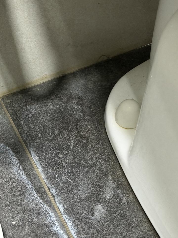 馬桶裝修案件圖片