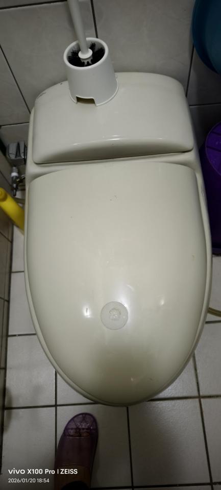 馬桶裝修案件圖片