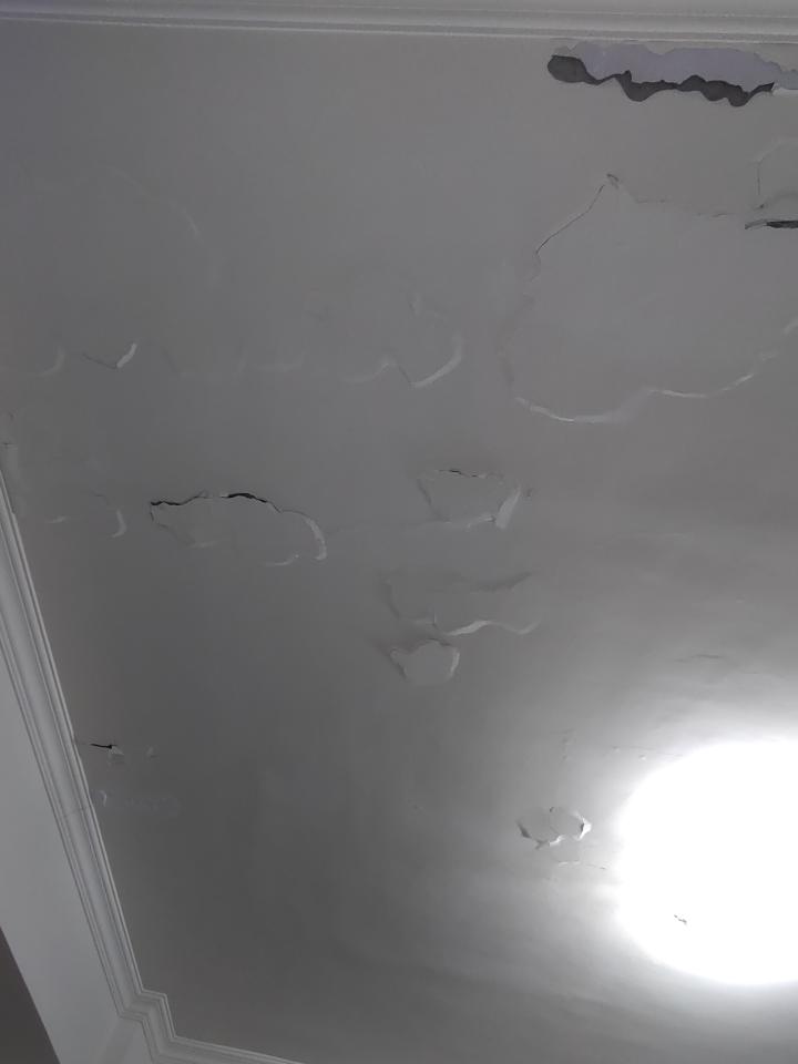 鋼筋外露處理案件圖片