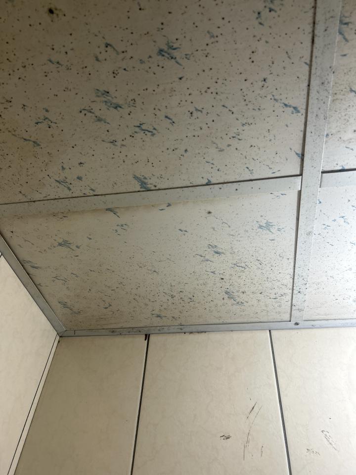 浴室除霉清潔案件圖片