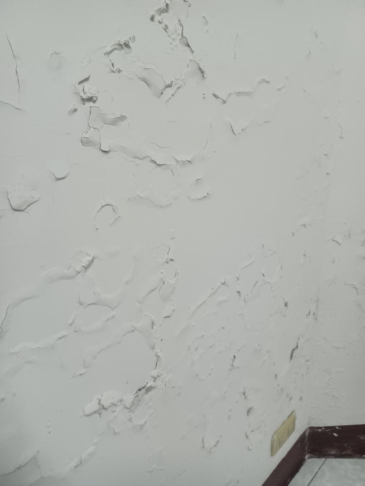 油漆工程案件圖片