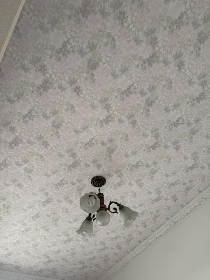 壁紙施工案件圖片