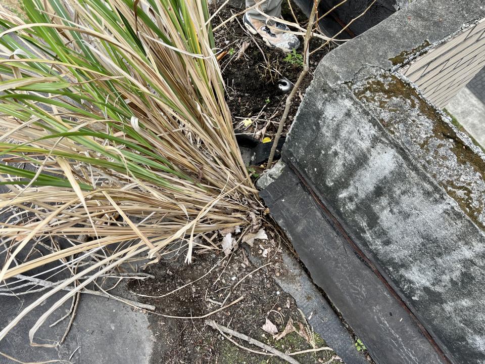 屋頂排水案件圖片