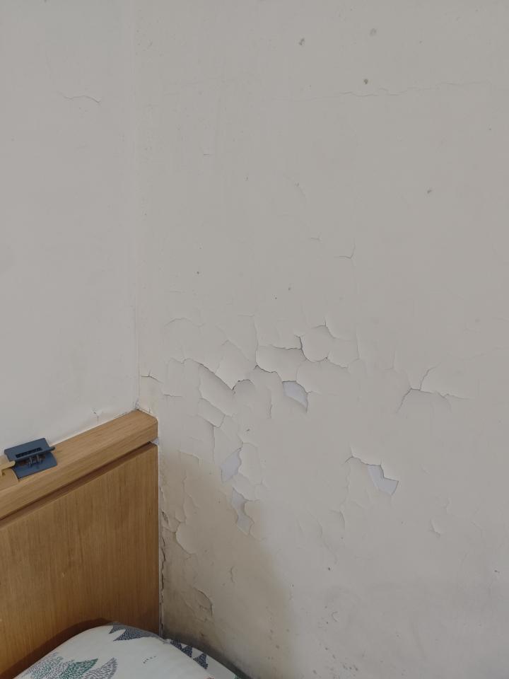 油漆工程案件圖片