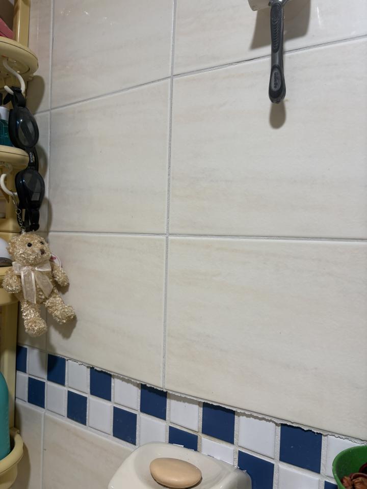 磁磚修補案件圖片