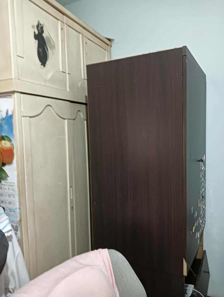 大型垃圾回收案件圖片