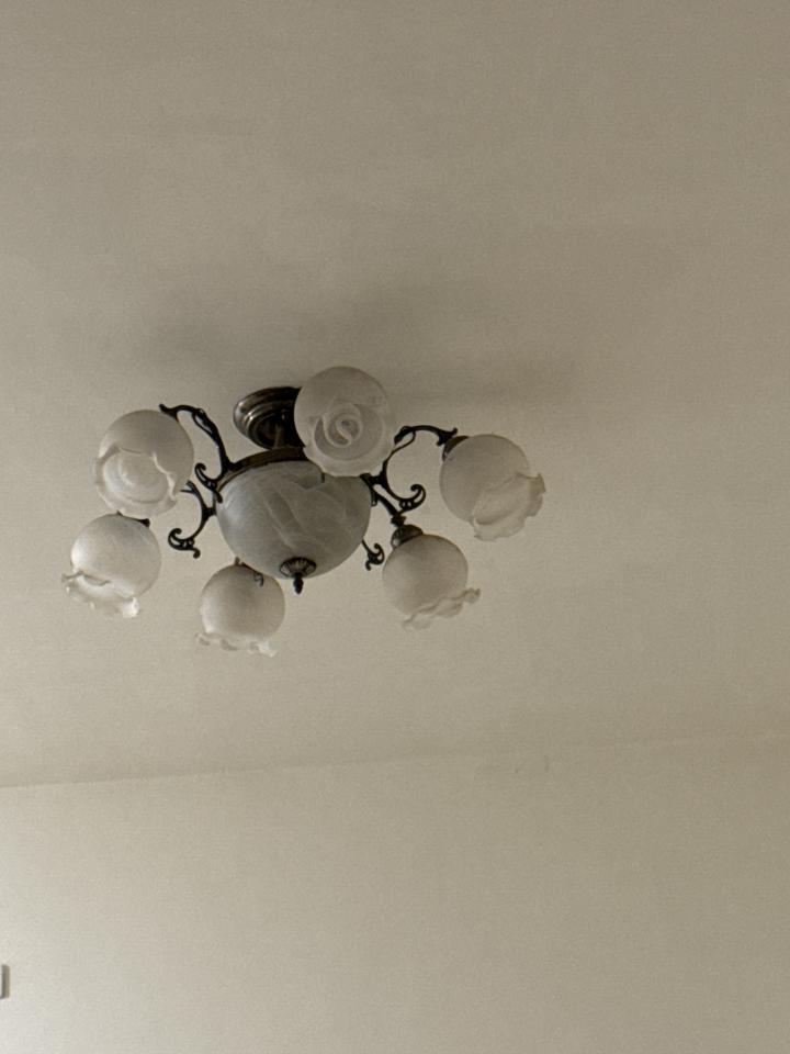 燈具安裝案件圖片