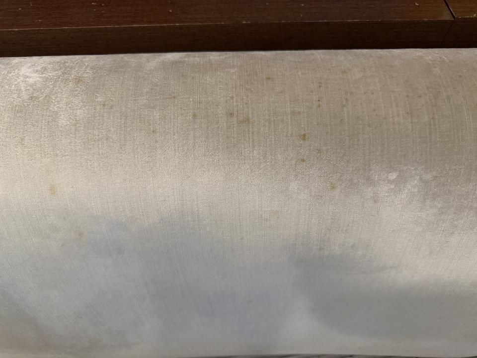 沙發清潔案件圖片