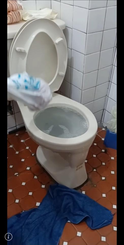 馬桶裝修案件圖片