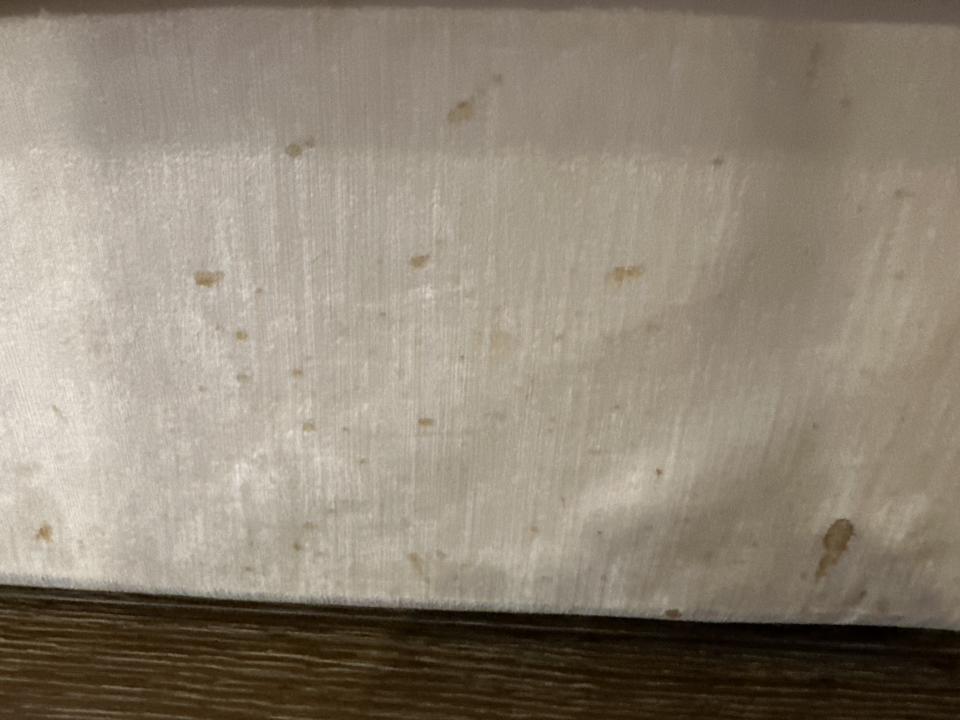 沙發清潔案件圖片