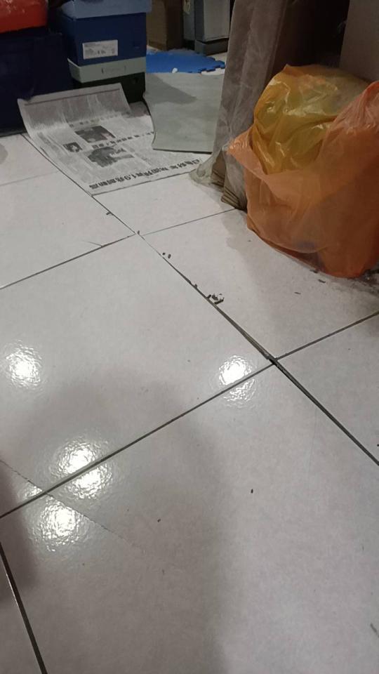 磁磚修補案件圖片