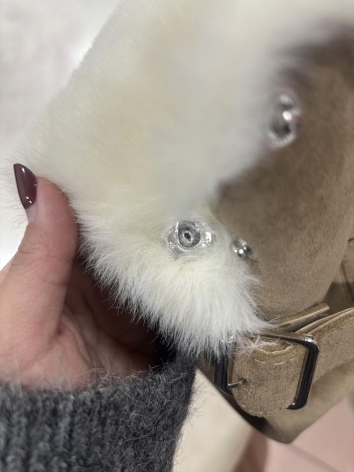 衣物修改案件圖片