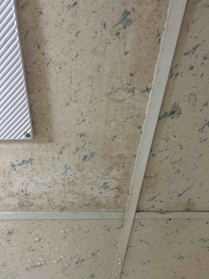浴室除霉清潔案件圖片