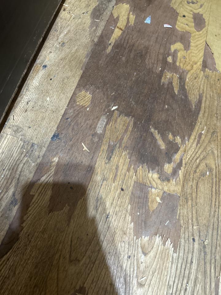 地板維修案件圖片