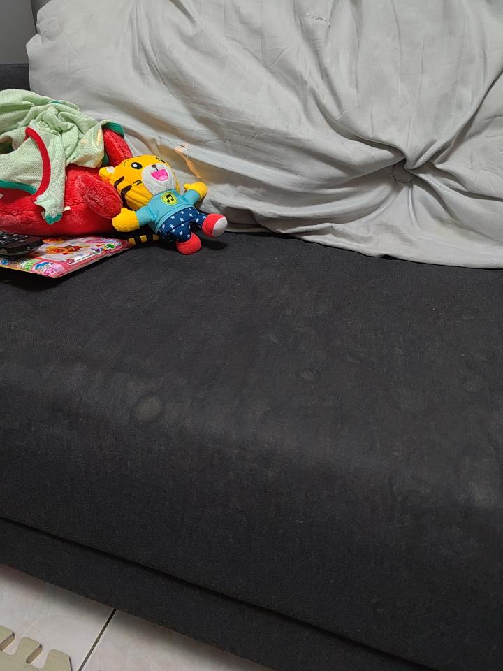 沙發清潔案件圖片