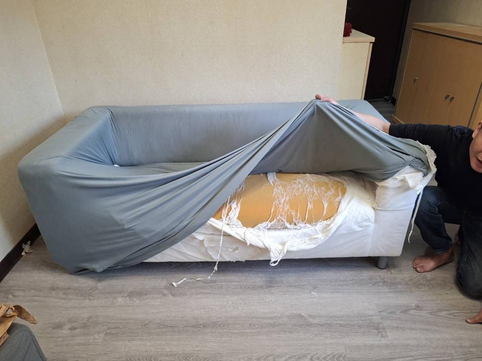 大型垃圾回收案件圖片