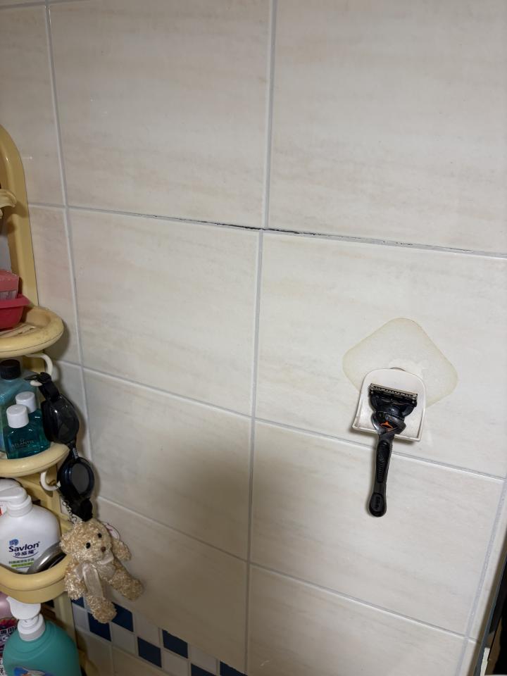 磁磚修補案件圖片