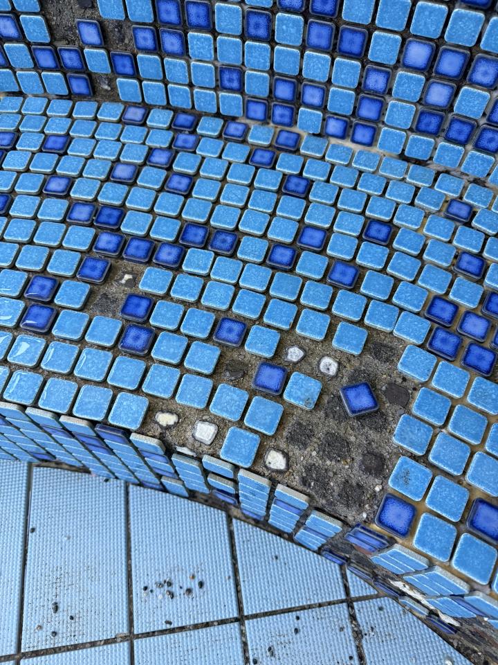 磁磚修補案件圖片