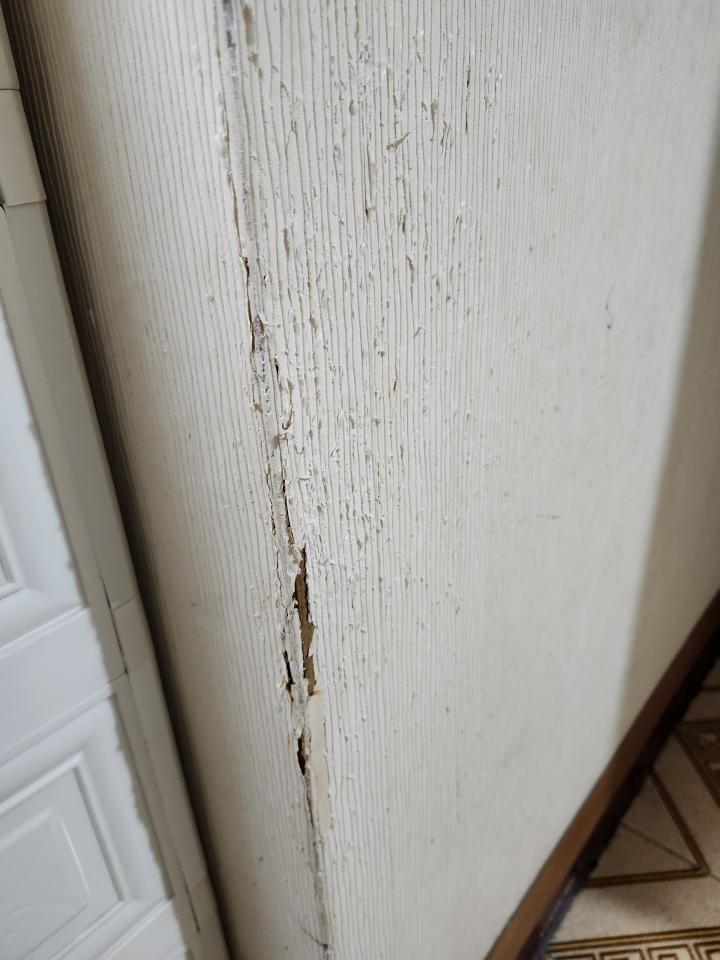 壁紙施工案件圖片