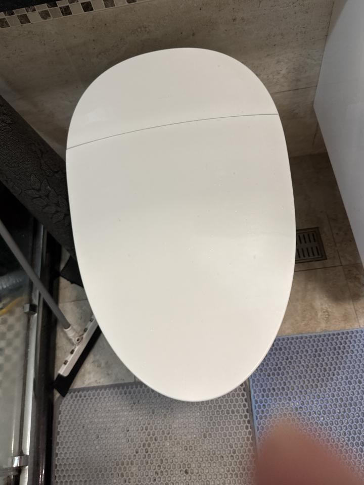 馬桶裝修案件圖片