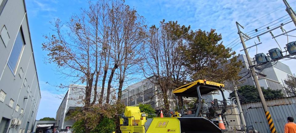 園藝維護案件圖片