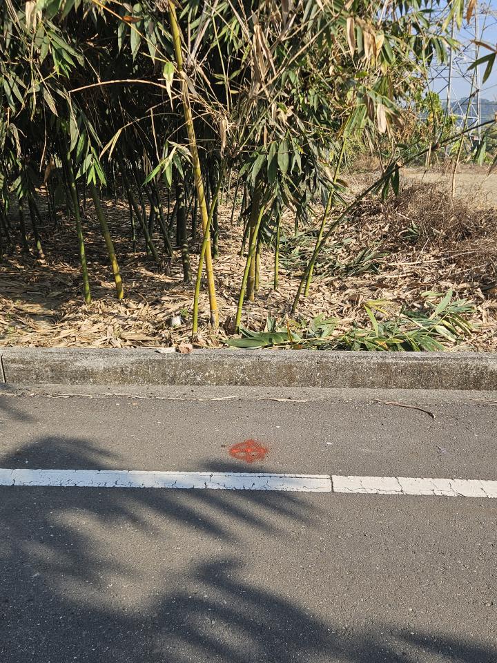 圍籬工程案件圖片