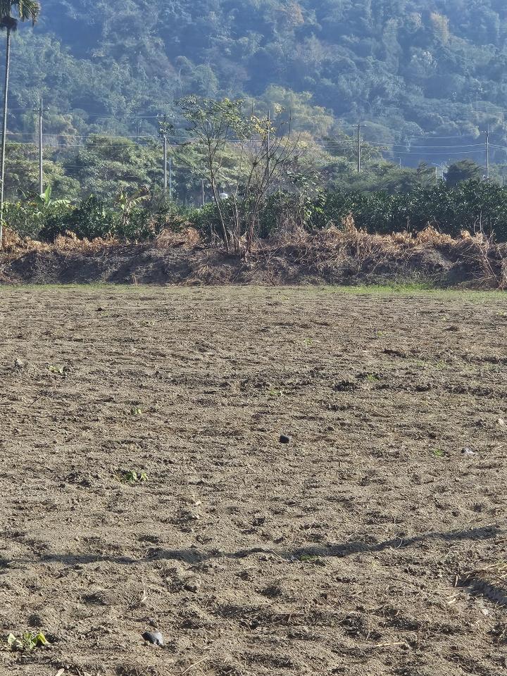 圍籬工程案件圖片