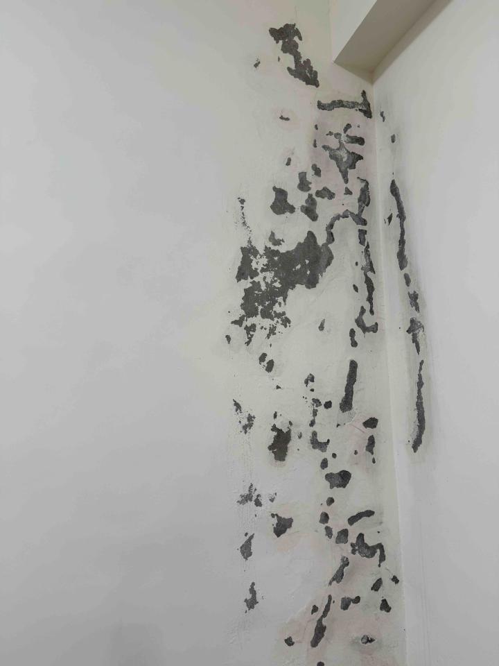 壁癌處理案件圖片