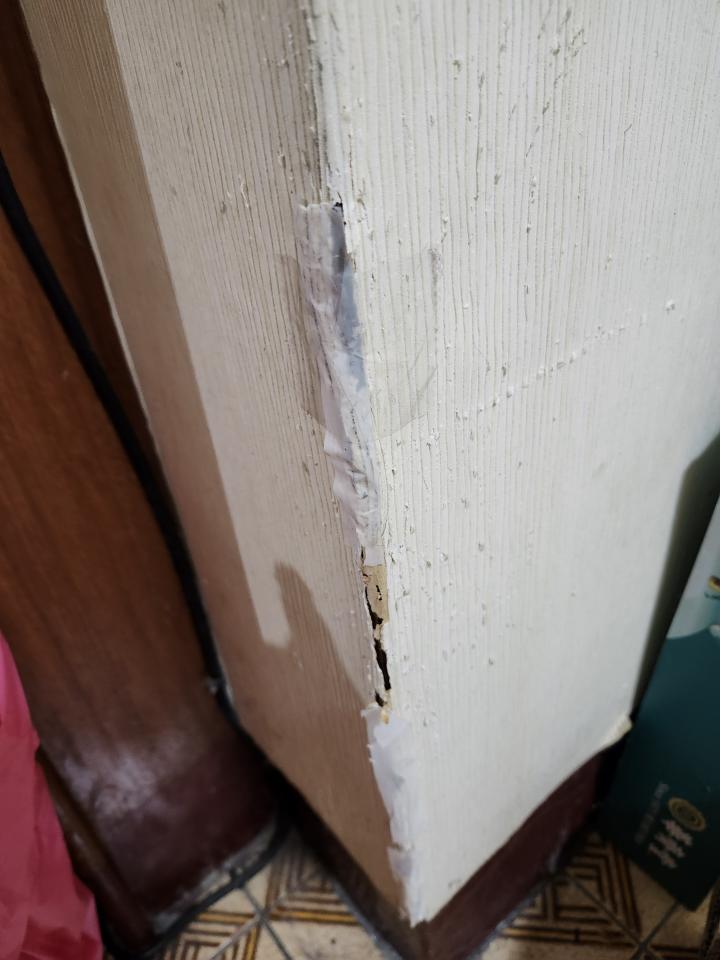 壁紙施工案件圖片