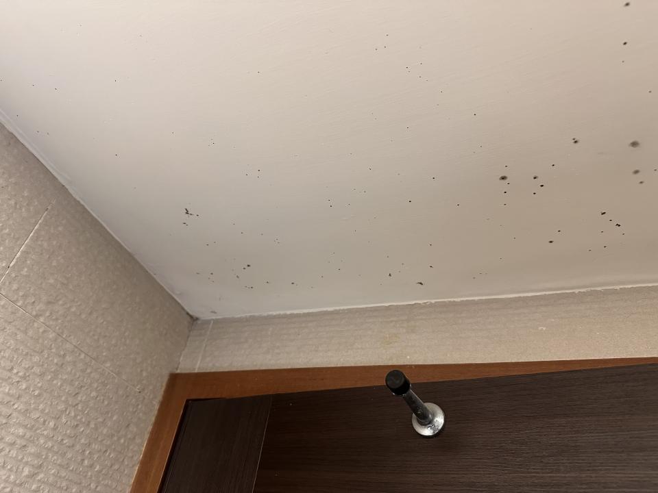 水電行案件圖片