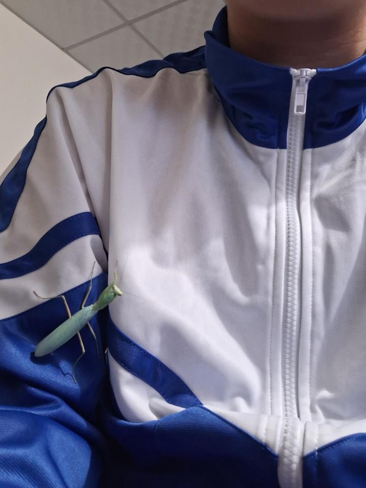 標本製作案件圖片