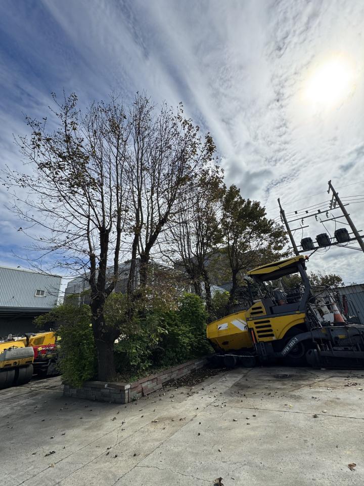 園藝維護案件圖片