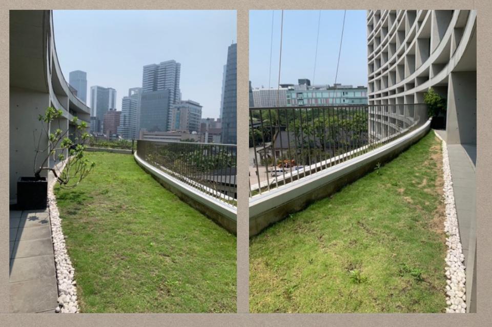 園藝維護案件圖片