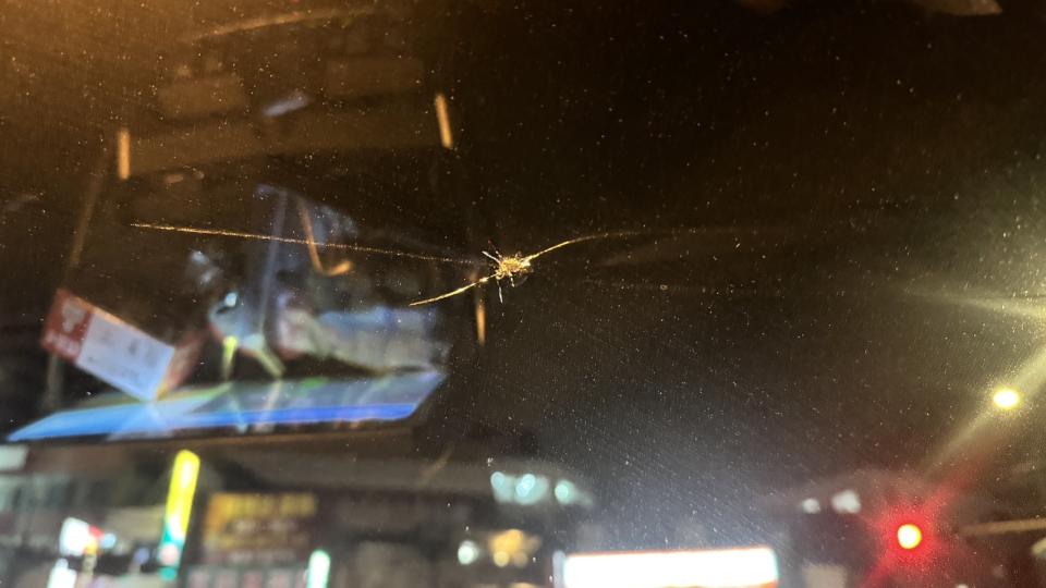 汽車玻璃修補案件圖片