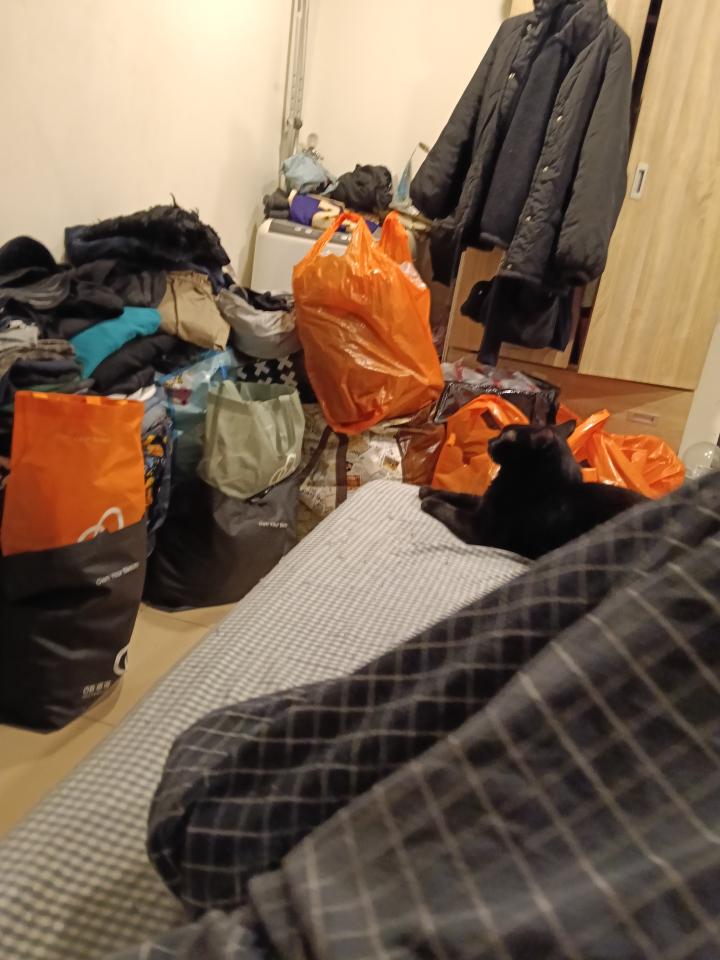 家具搬運案件圖片