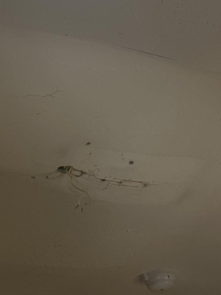 燈具安裝案件圖片