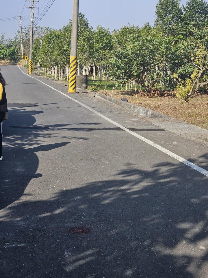 圍籬工程案件圖片