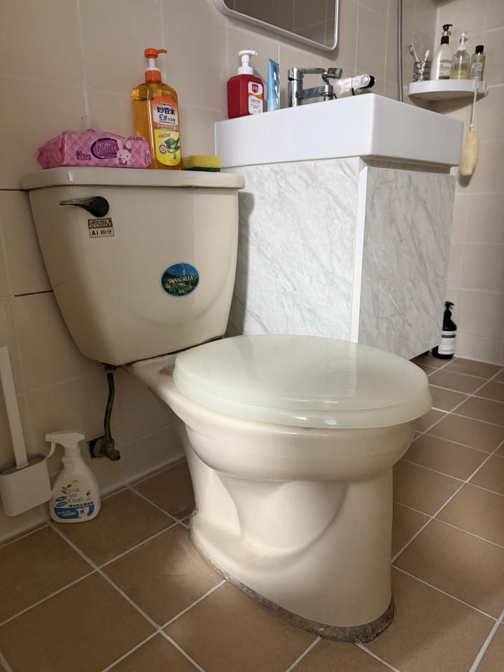 馬桶裝修案件圖片