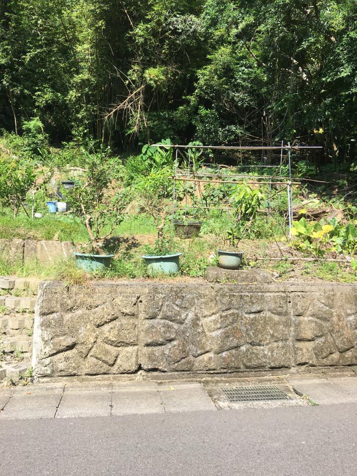 圍籬工程案件圖片