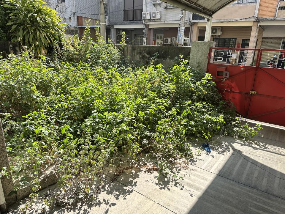 園藝維護案件圖片