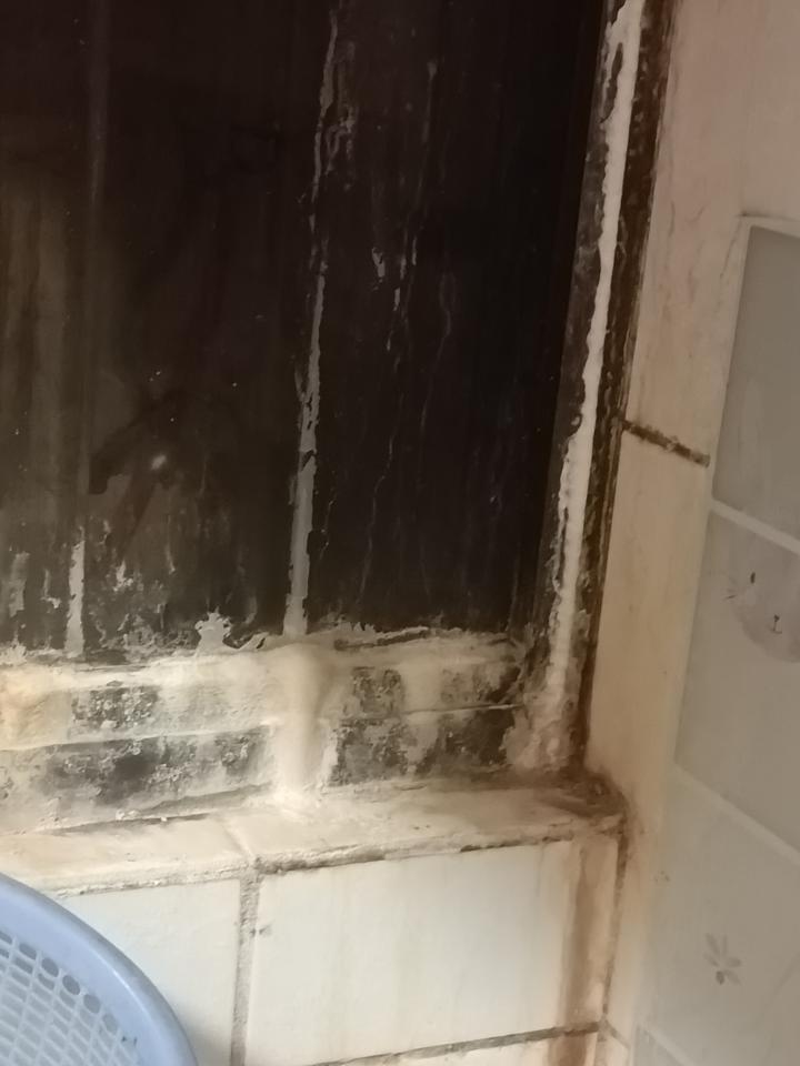 除霉案件圖片