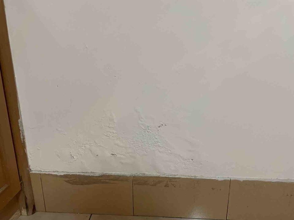 壁癌處理案件圖片