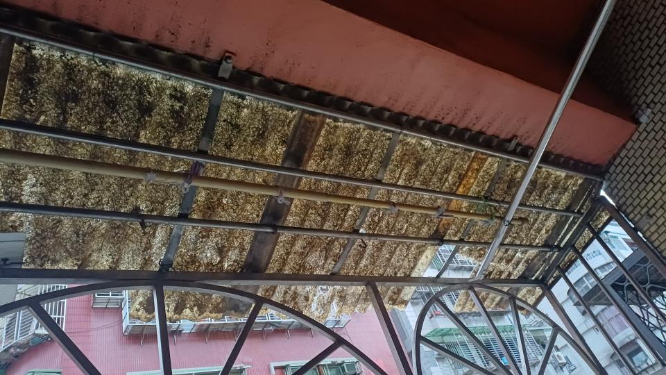 採光罩案件圖片