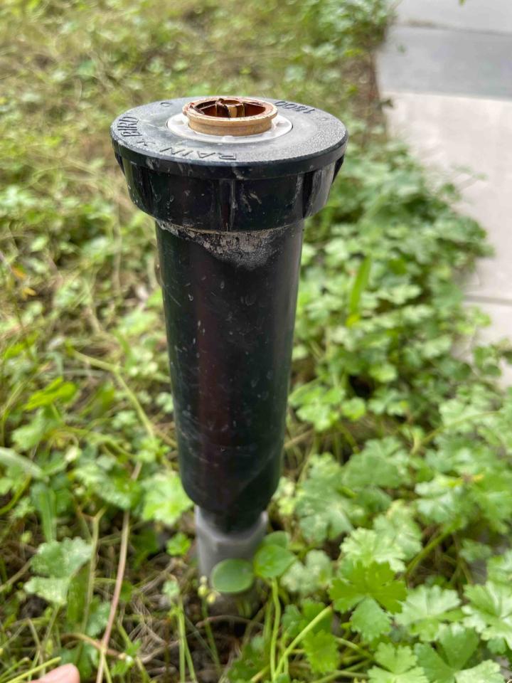 花園自動灑水系統案件圖片