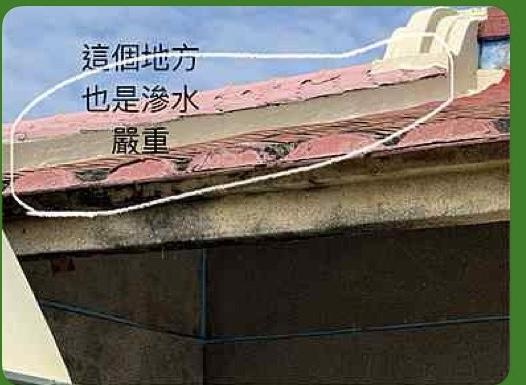 屋頂防水案件圖片