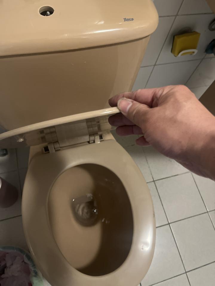 馬桶裝修案件圖片