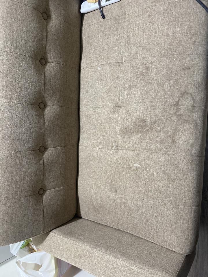 沙發清潔案件圖片