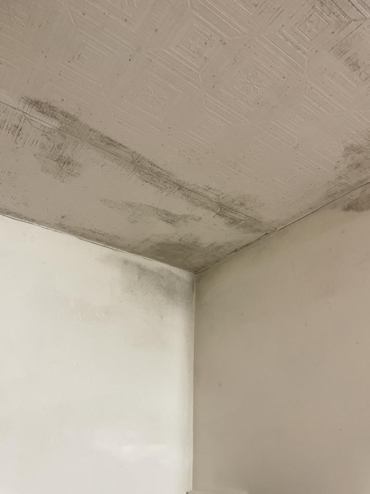 油漆工程案件圖片