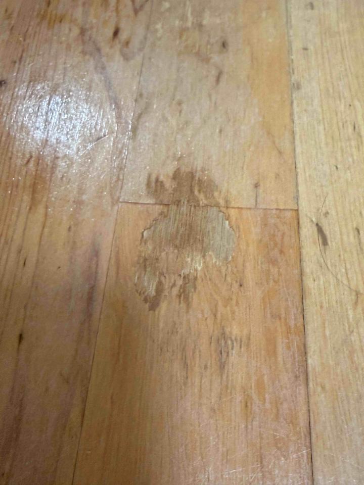 地板施工案件圖片