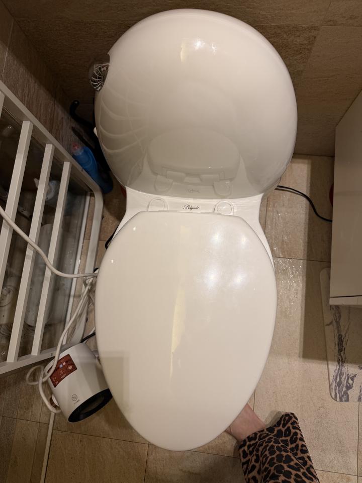 免治馬桶裝修案件圖片